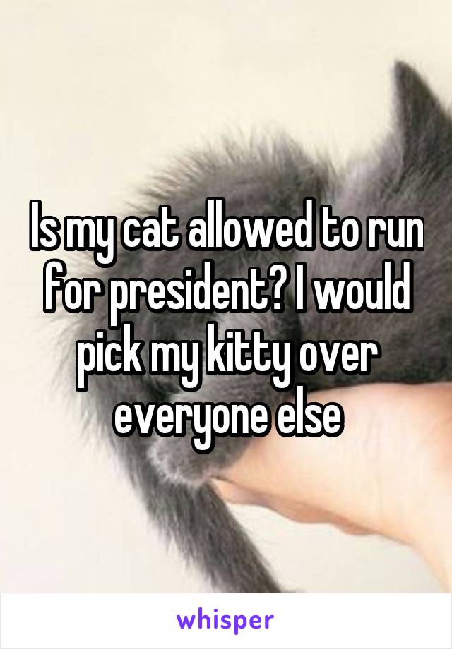 Is my cat allowed to run for president? I would pick my kitty over everyone else