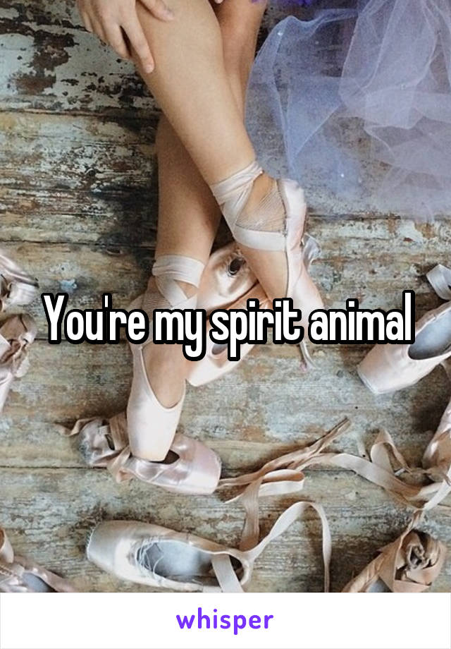 You're my spirit animal