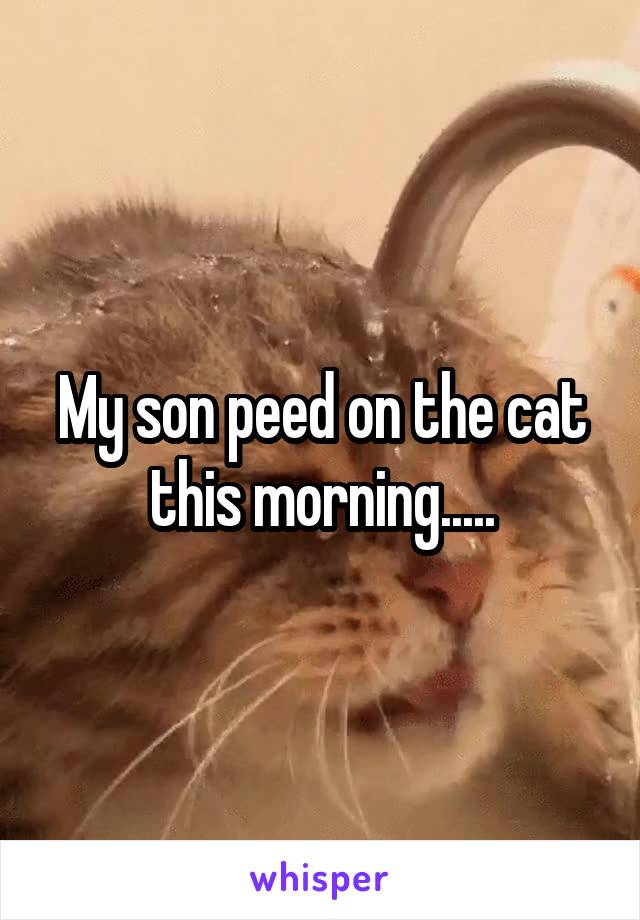 My son peed on the cat this morning.....