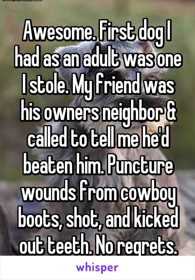 Awesome. First dog I  had as an adult was one I stole. My friend was his owners neighbor & called to tell me he'd beaten him. Puncture wounds from cowboy boots, shot, and kicked out teeth. No regrets.