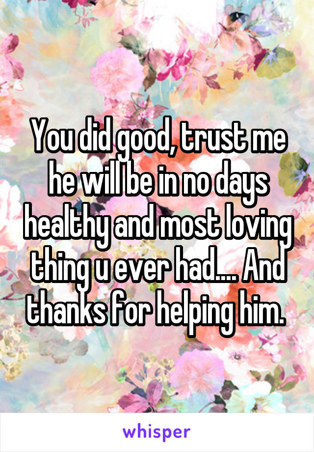 You did good, trust me he will be in no days healthy and most loving thing u ever had.... And thanks for helping him. 