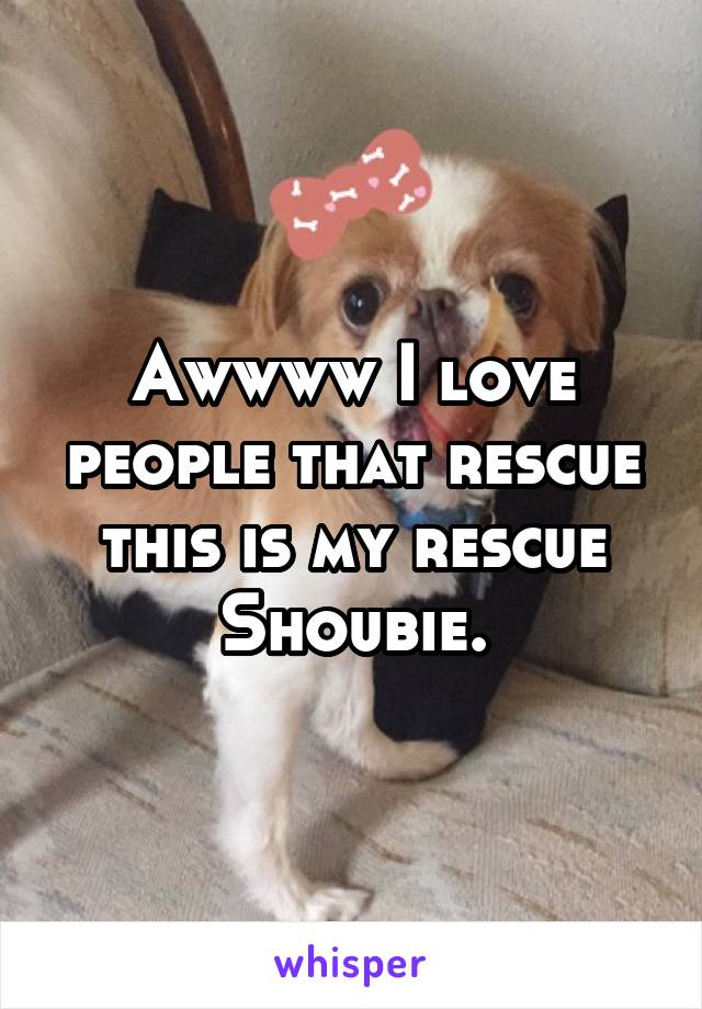 Awwww I love people that rescue this is my rescue Shoubie.