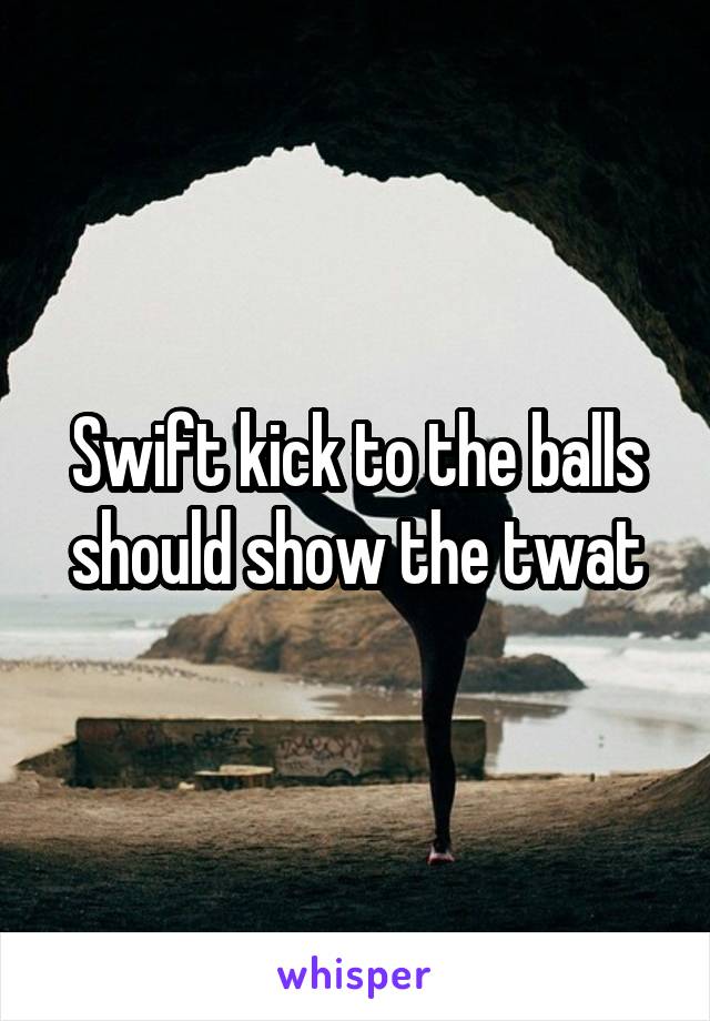 Swift kick to the balls should show the twat