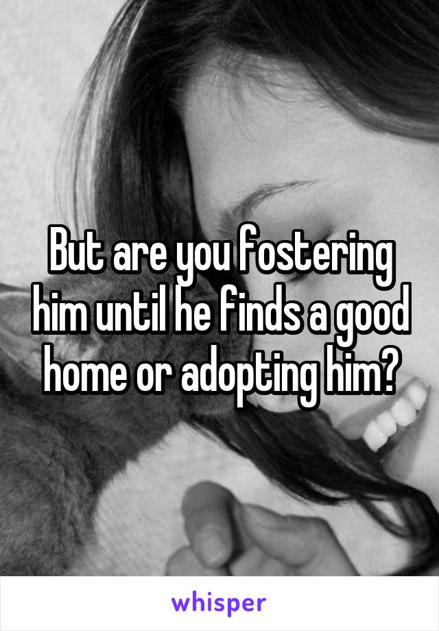 But are you fostering him until he finds a good home or adopting him?