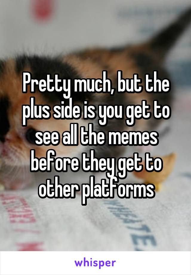 Pretty much, but the plus side is you get to see all the memes before they get to other platforms