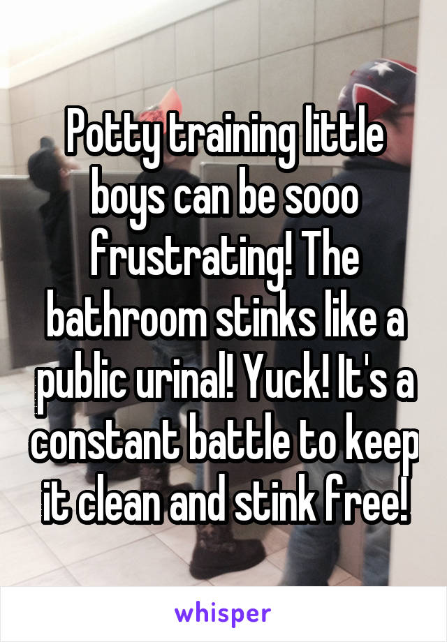 Potty training little boys can be sooo frustrating! The bathroom stinks like a public urinal! Yuck! It's a constant battle to keep it clean and stink free!