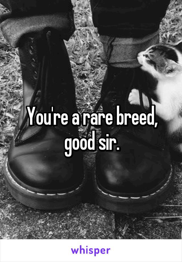 You're a rare breed, good sir.