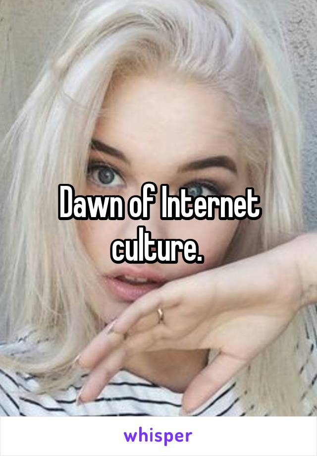 Dawn of Internet culture. 