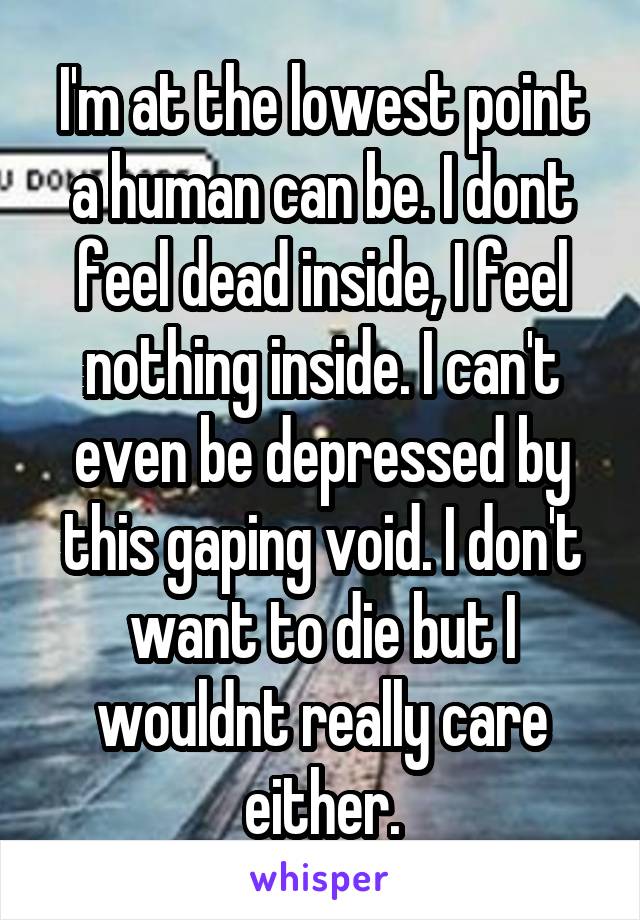 I'm at the lowest point a human can be. I dont feel dead inside, I feel nothing inside. I can't even be depressed by this gaping void. I don't want to die but I wouldnt really care either.