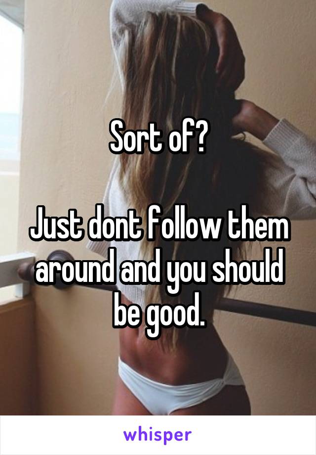 Sort of?

Just dont follow them around and you should be good.