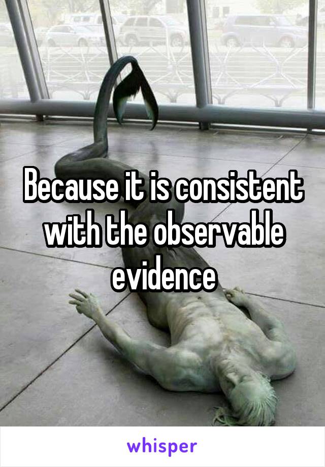 Because it is consistent with the observable evidence