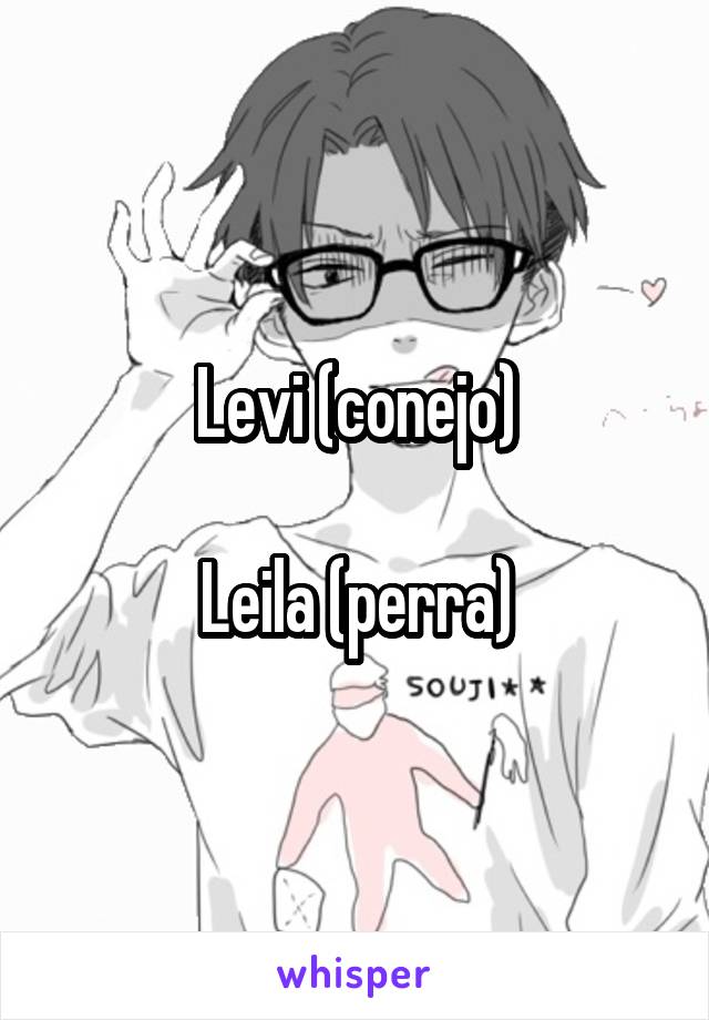 Levi (conejo)

Leila (perra)