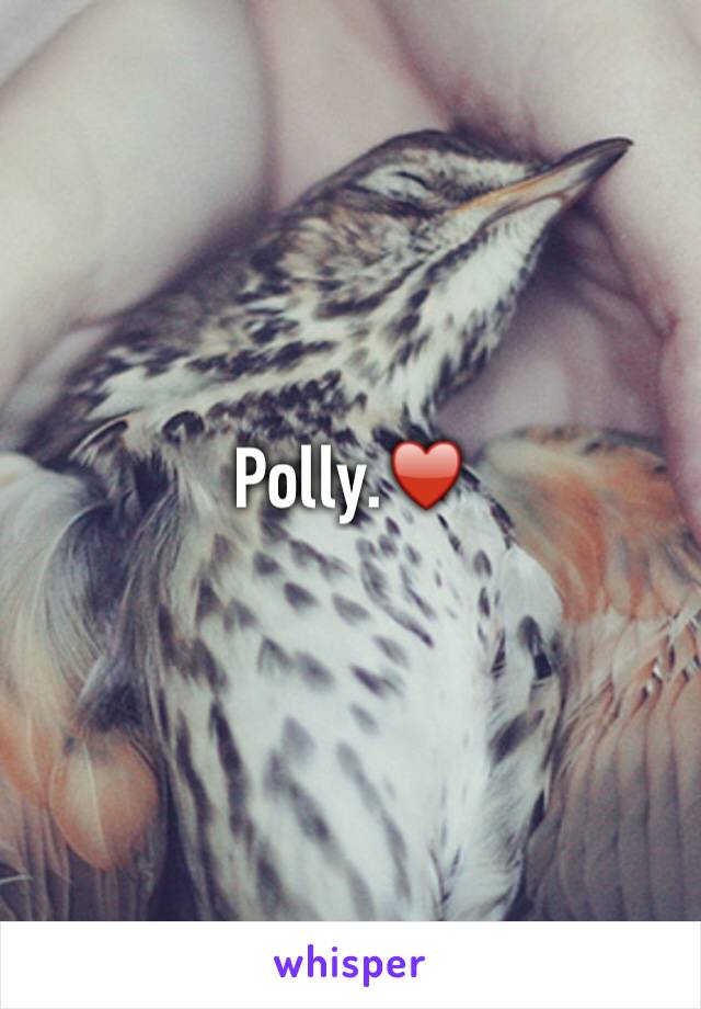 Polly.♥️