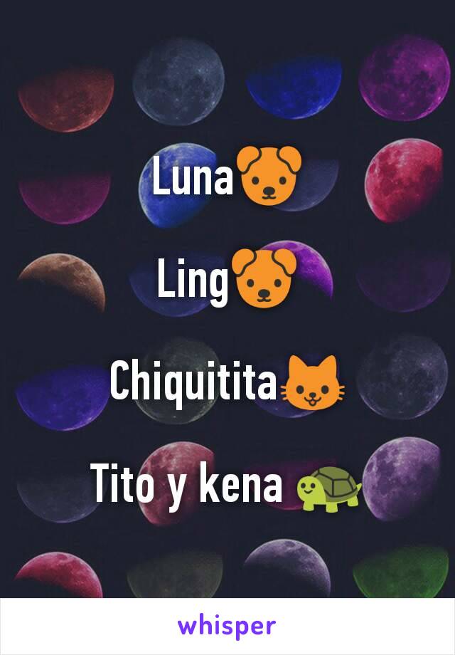 Luna🐶

Ling🐶

Chiquitita🐱

Tito y kena 🐢