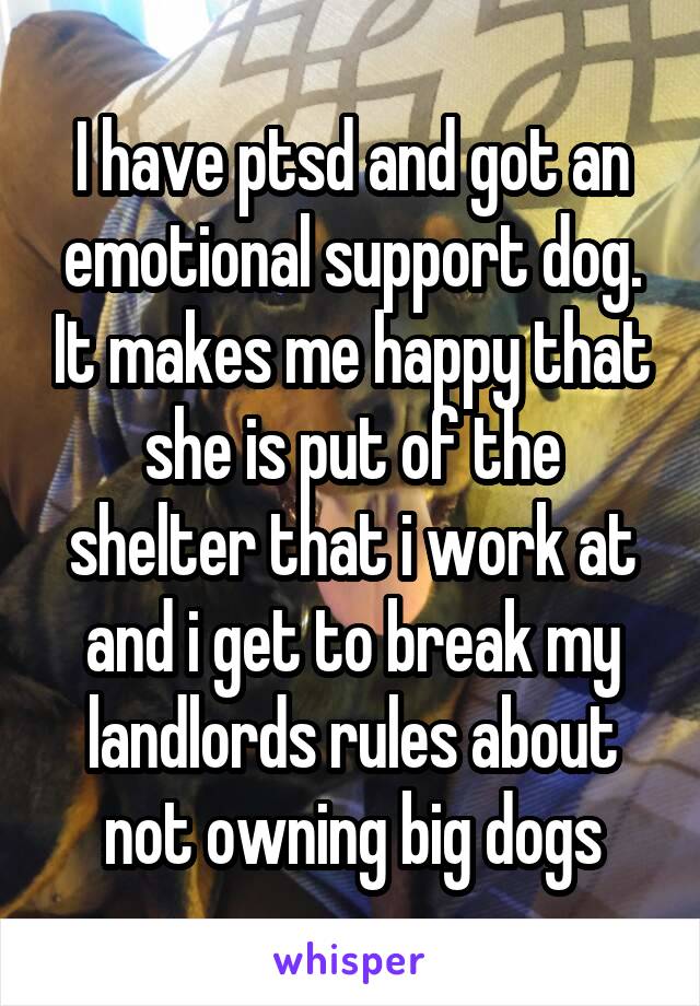 I have ptsd and got an emotional support dog. It makes me happy that she is put of the shelter that i work at and i get to break my landlords rules about not owning big dogs