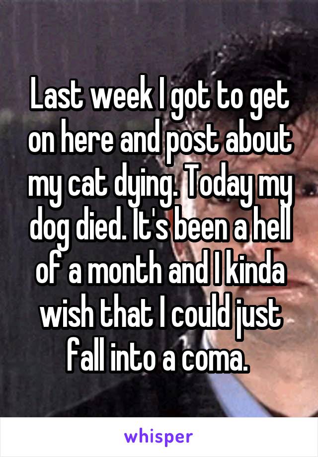 Last week I got to get on here and post about my cat dying. Today my dog died. It's been a hell of a month and I kinda wish that I could just fall into a coma. 