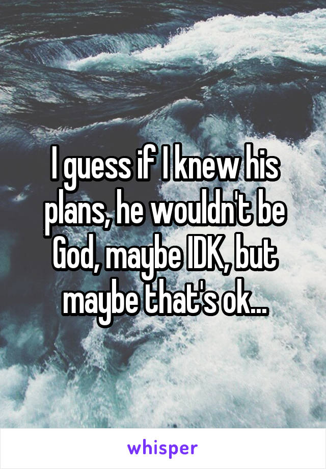 I guess if I knew his plans, he wouldn't be God, maybe IDK, but maybe that's ok...
