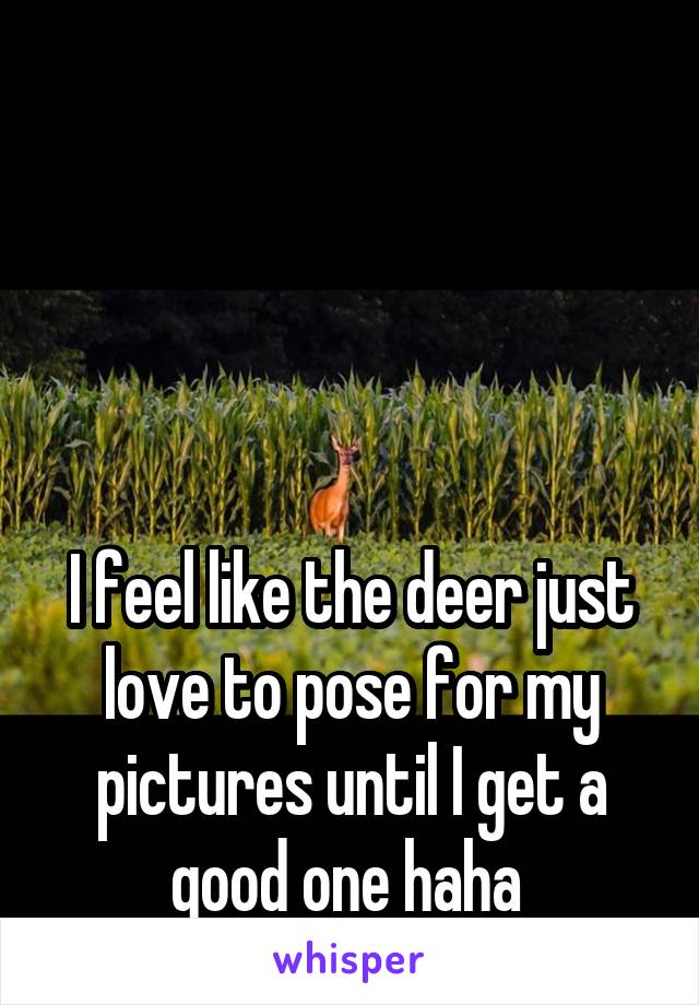 




I feel like the deer just love to pose for my pictures until I get a good one haha 