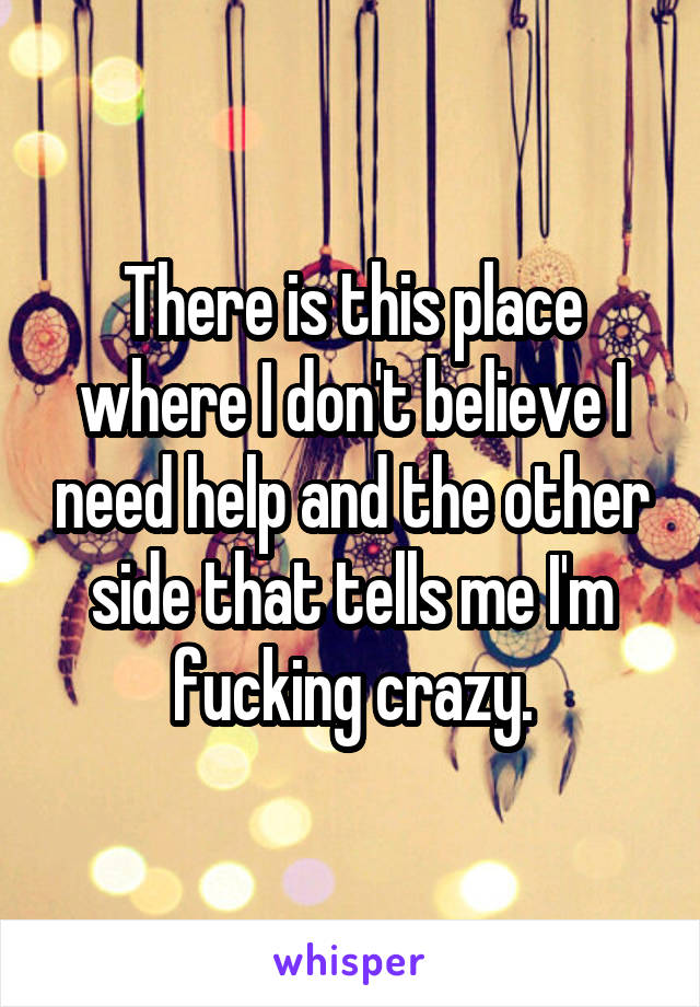 There is this place where I don't believe I need help and the other side that tells me I'm fucking crazy.
