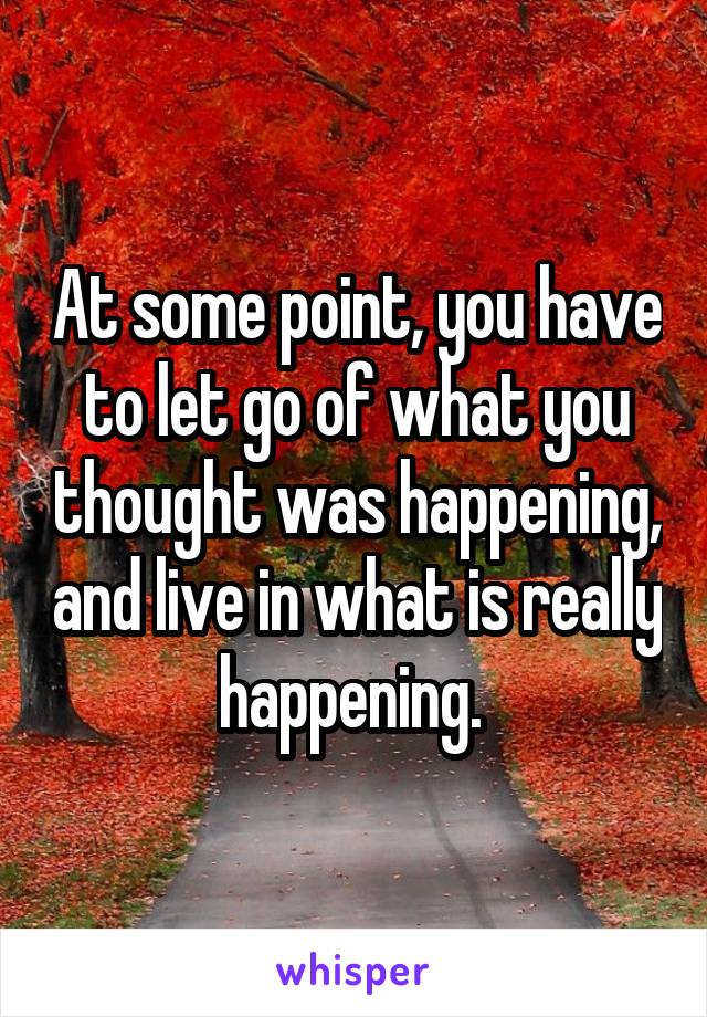 At some point, you have to let go of what you thought was happening, and live in what is really happening. 