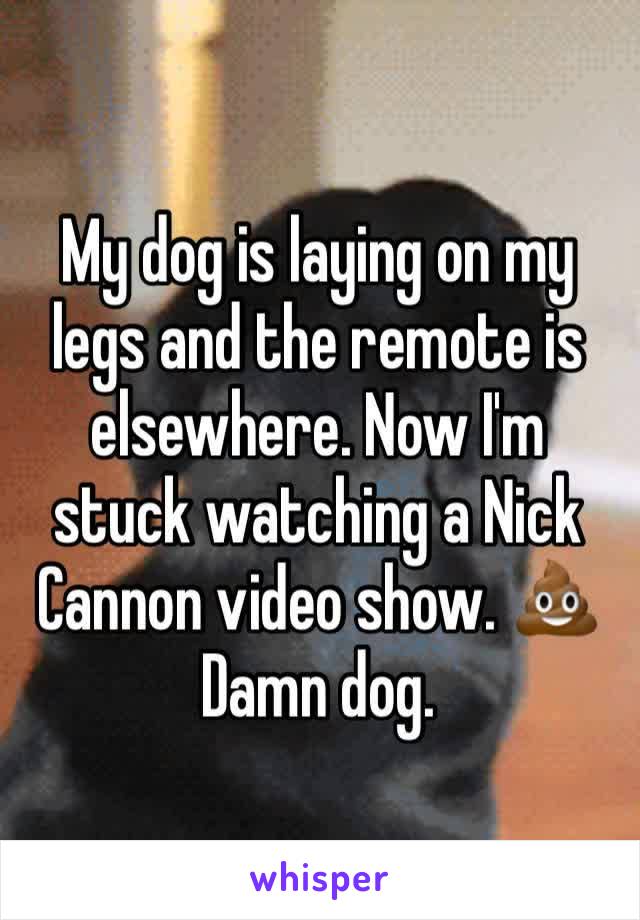 My dog is laying on my legs and the remote is elsewhere. Now I'm stuck watching a Nick Cannon video show. 💩
Damn dog. 