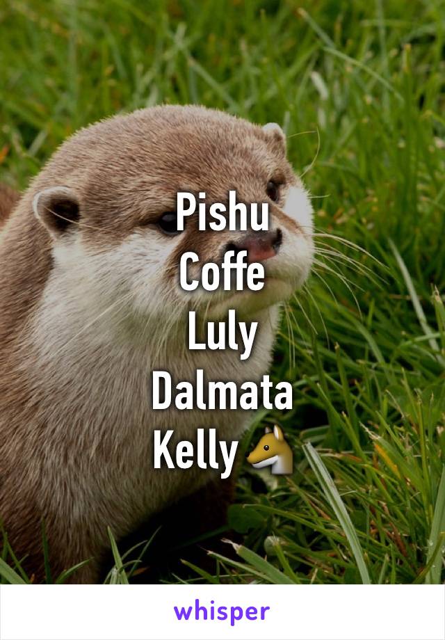 Pishu
Coffe
Luly
Dalmata
Kelly🐺