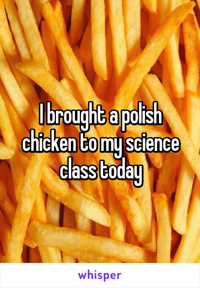 I brought a polish chicken to my science class today