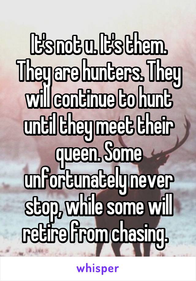 It's not u. It's them. They are hunters. They will continue to hunt until they meet their queen. Some unfortunately never stop, while some will retire from chasing.  