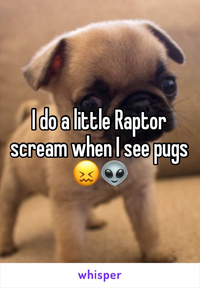 I do a little Raptor scream when I see pugs 😖👽