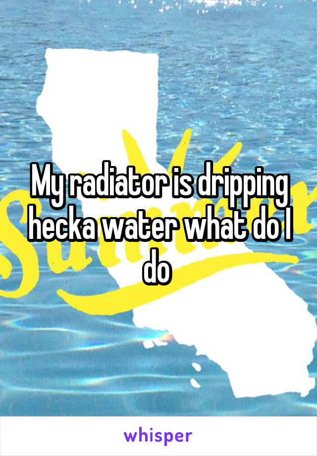 My radiator is dripping hecka water what do I do 