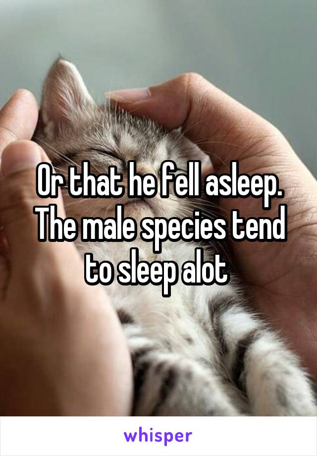 Or that he fell asleep. The male species tend to sleep alot 