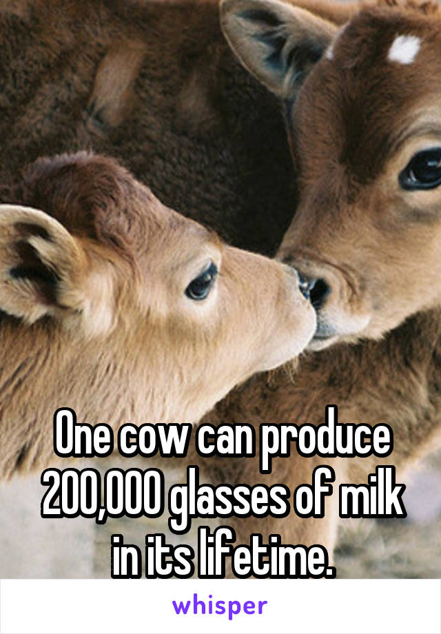 





One cow can produce 200,000 glasses of milk in its lifetime.
