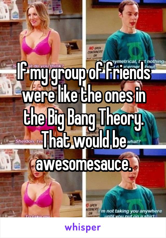 If my group of friends were like the ones in the Big Bang Theory. That would be awesomesauce.