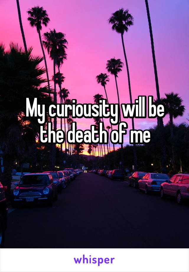 My curiousity will be the death of me
