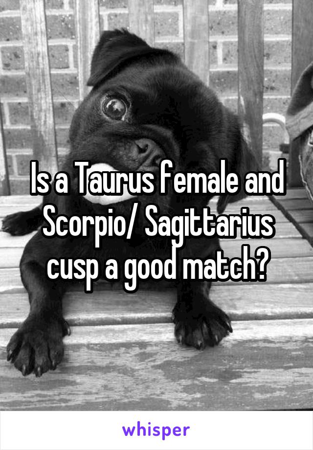 Is a Taurus female and Scorpio/ Sagittarius cusp a good match?