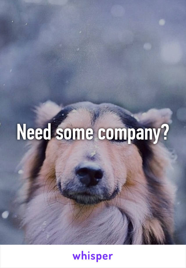 Need some company?