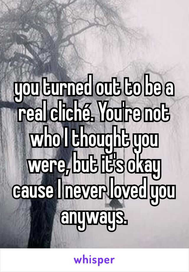 
you turned out to be a real cliché. You're not who I thought you were, but it's okay cause I never loved you anyways.