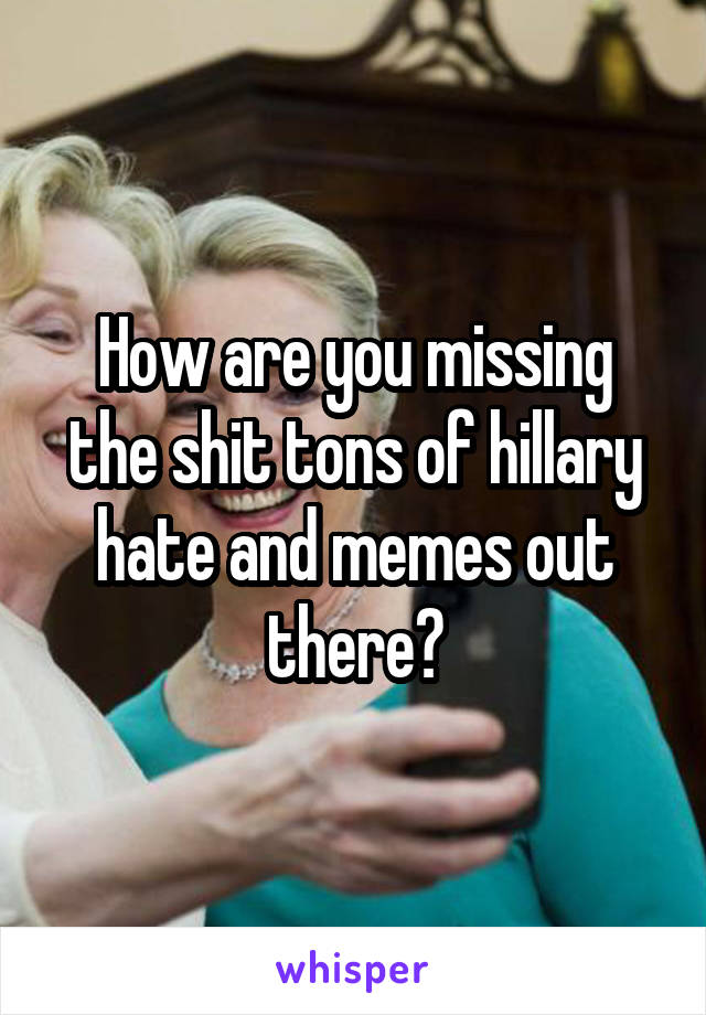 How are you missing the shit tons of hillary hate and memes out there?