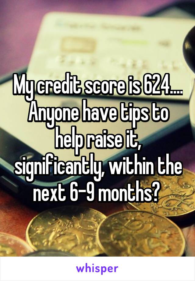 My credit score is 624.... Anyone have tips to help raise it, significantly, within the next 6-9 months? 