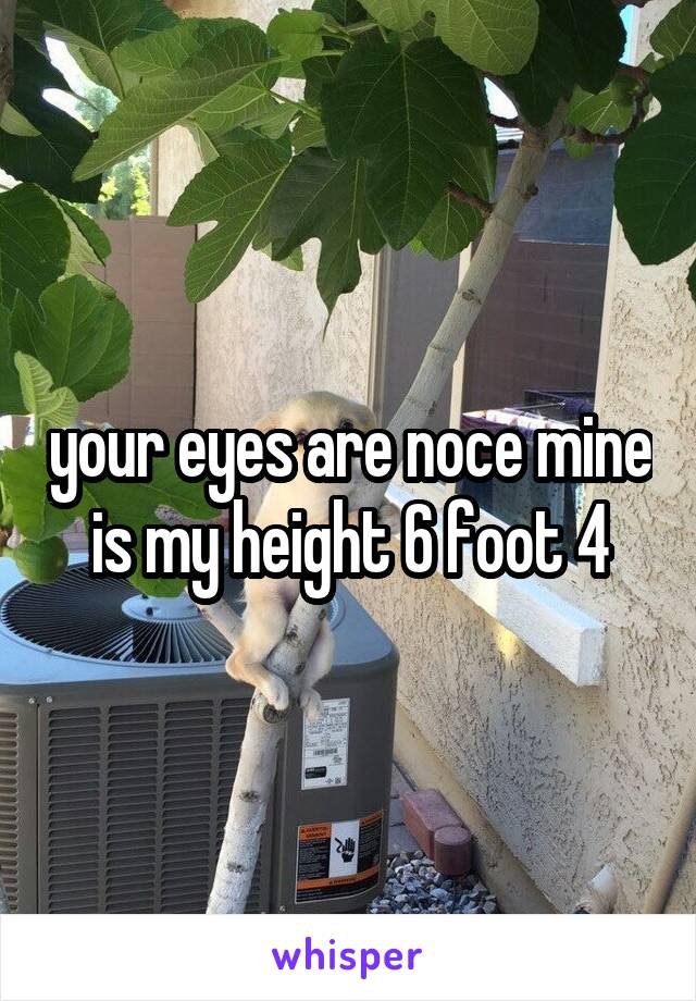 your eyes are noce mine is my height 6 foot 4