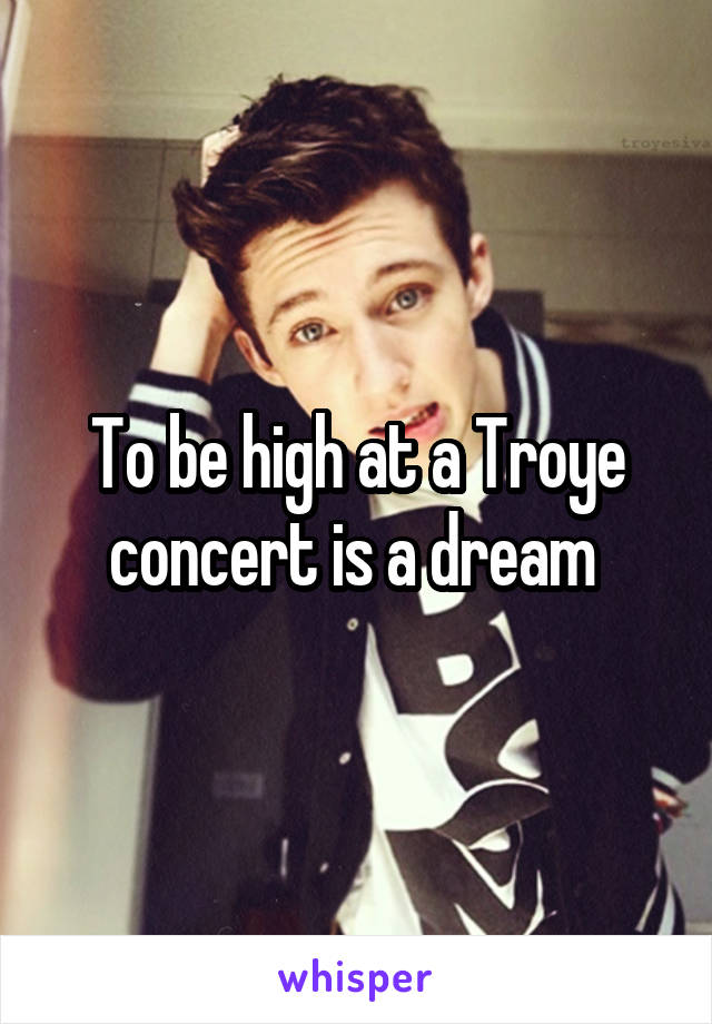 To be high at a Troye concert is a dream 