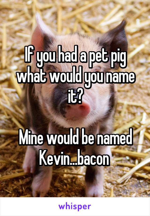 If you had a pet pig what would you name it?

Mine would be named Kevin...bacon 
