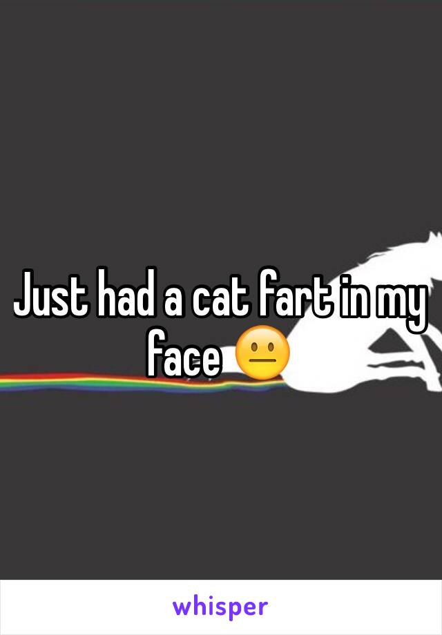 Just had a cat fart in my face 😐