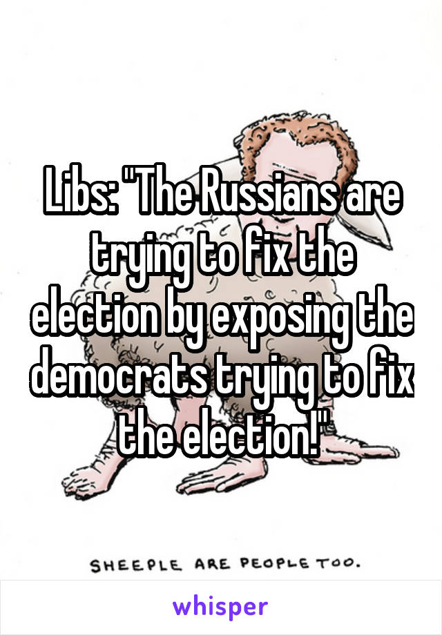 Libs: "The Russians are trying to fix the election by exposing the democrats trying to fix the election!"