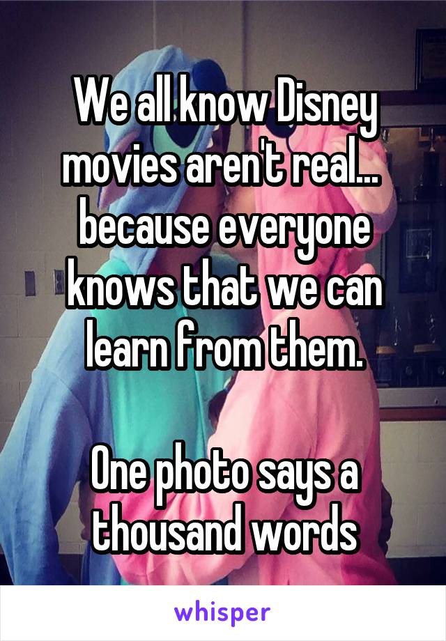 We all know Disney movies aren't real... 
because everyone knows that we can learn from them.

One photo says a thousand words