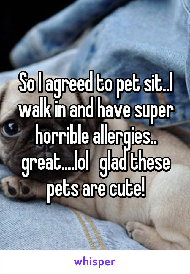 So I agreed to pet sit..I walk in and have super horrible allergies.. great....lol   glad these pets are cute!