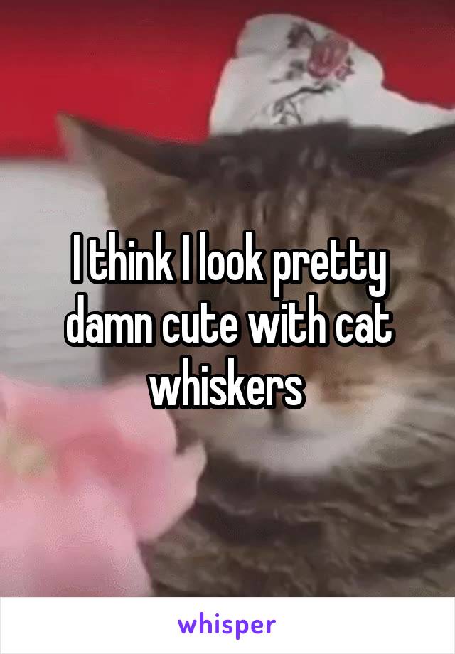 I think I look pretty damn cute with cat whiskers 