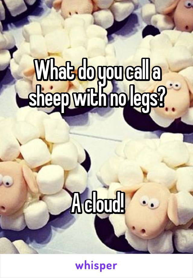 What do you call a sheep with no legs?



A cloud!