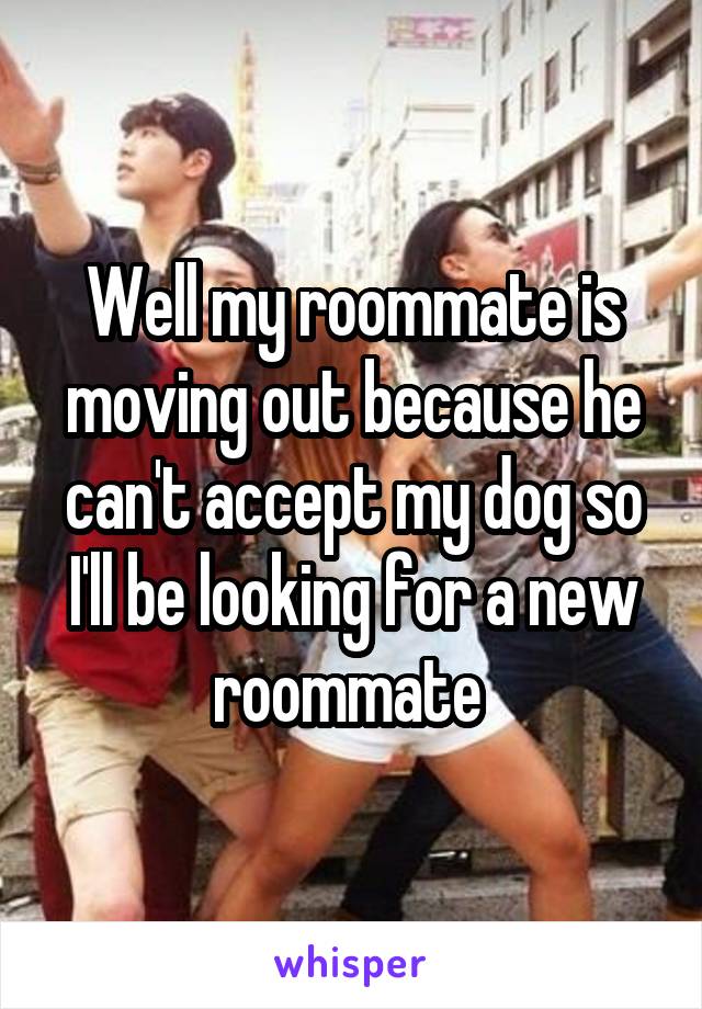 Well my roommate is moving out because he can't accept my dog so I'll be looking for a new roommate 