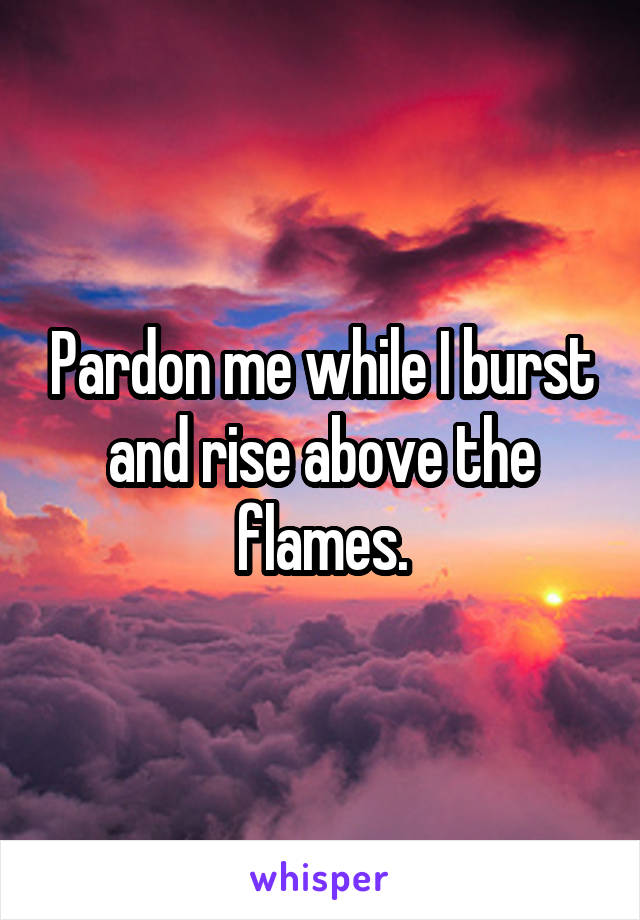 Pardon me while I burst and rise above the flames.
